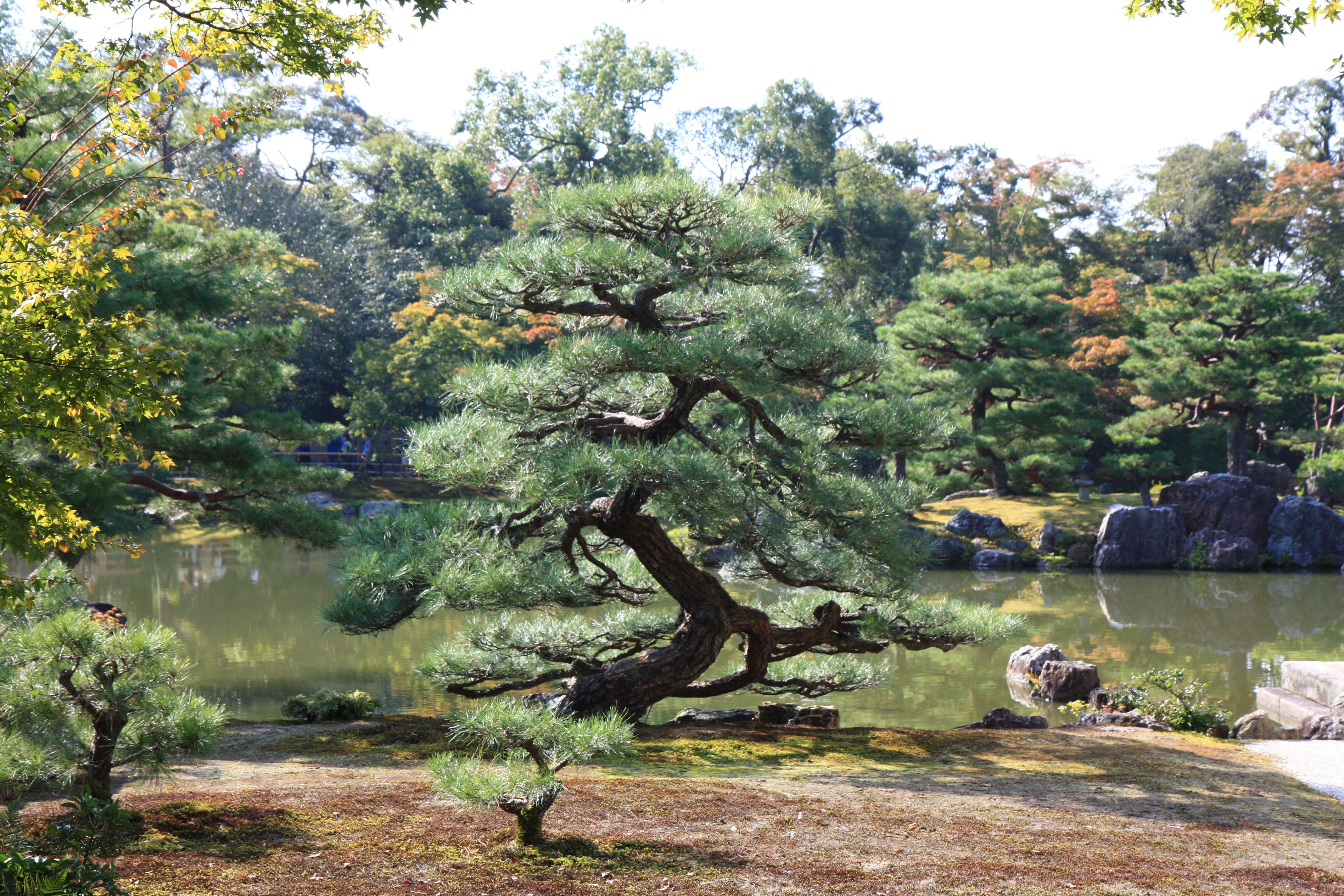 Kyoto